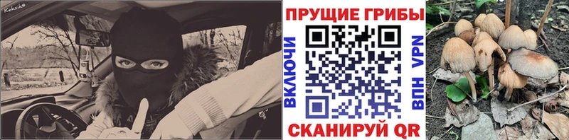 МЕГА зеркало  Медынь  Псилоцибиновые грибы мицелий 